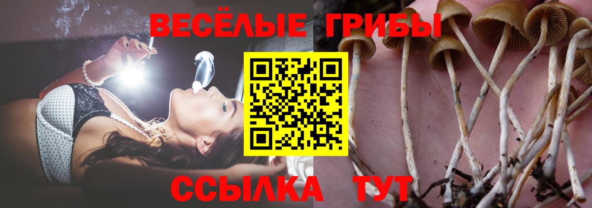 Псилоцибиновые грибы Cubensis  Псилоцибиновые грибы Psilocybe  Салехард  Вход с VPN 